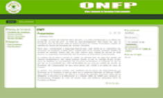 TRAVAUX DU MCA A KOLDA : L’ONFP va former 110 jeunes demandeurs d’emplois