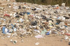 Kolda : Les élus locaux sensibilisés sur la gestion des ordures