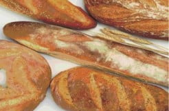 Vélingara : les boulangers handicapés par le manque de moyens et de formation