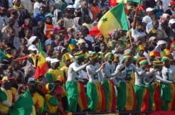 Mondial 2014 : le Sénégal accroché par l’Angola