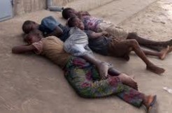 PROTECTION DES ENFANTS : Kolda à l’ère de la synergie des acteurs