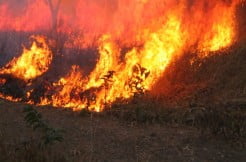 Velingara : une femme d’une cinquantaine d’années  meurt calcinée par le feu à Thjibo Demba