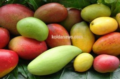 Diatel (Wassadou) : il poignarde son petit frère pour des mangues !