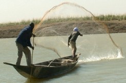 Développement d’une pêche continentale à Vélingara