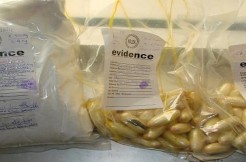 Une étudiante bissau-guinéenne condamnée à 10 ans de travaux forcés à Ziguinchor pour trafic de cocaïne :