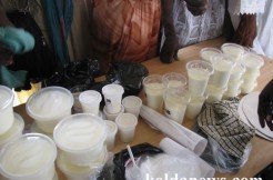 KOLDA : Aide et Action initie des journées de réflexion sur les filières lait et céréales locales