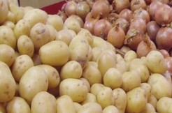 Les défis de l’autosuffisance alimentaire au menu d’un panel, lundi