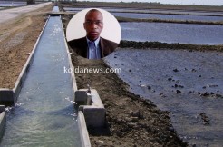 Moussa BALDE : « … nous envisageons d’aménager 5.000 ha dans la région de Kolda »