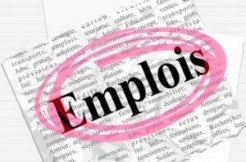 FORUM SUR L’EMPLOI DES JEUNES A KOLDA : Des niches identifiées dans l’agriculture, l’élevage, les TIC…