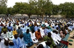 Kolda : l’imam Bâ insiste sur le respect des « recommandations divines »