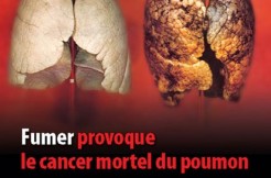 Un consortium de recherches salue la volonté du Sénégal de lutter contre le tabagisme