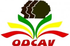 Navétanes à Kolda : l’ODCAV et la presse en réunion  d’harmonisation ce mardi 20 août