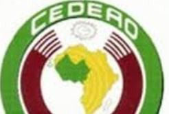 La CEDEAO plaide pour des élections législatives paisibles en Guinée-Conakry