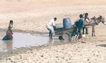 COMMENTAIRE DU JOUR; Boire de la boue et s’en remettre à dieu (Par Ibrahima Diallo)