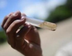 23 morts de la dengue au Pakistan