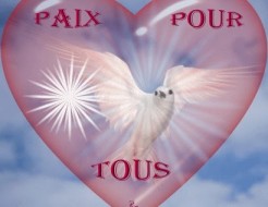 Pour la paix : L’église du Sénégal invite chrétiens et musulmans à une veillée de prière à Saint Pierre des Baobabs samedi