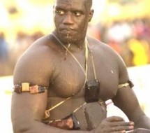 KHADIM NDIAYE 2, ECURIE THIAROYE – «Je n’accepte pas l’invincibilité de Malick Niang, car je l’ai terrassé» «Forza lui-même sait qu’il n’a aucune chance de me battre»