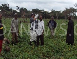 [AUDIO] LUTTE CONTRE l’EMIGRATION CLANDESTINE :Des champs collectifs pour fixer les jeunes