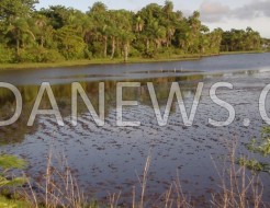 Oui à une arène nationale ! Non à sa construction sur l’un de nos derniers poumons verts