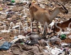 [Audio] Dossier sur le péril plastique à Kolda