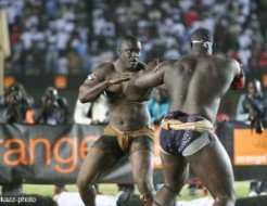 LUTTE : 4 face-à-face maximum et un délai de quatre mois pour un combat