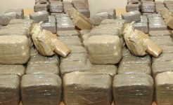 Urgent : 600 kg de drogue saisis par l’Ocrtis