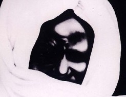 Après les attaques de Serigne Modou Guèye : Le président Macky Sall et Cheikh Amar réhabilités par les petits fils de Cheikh Ahmadou Bamba