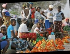 Sénégal : La Journée Mondiale de l’Alimentation célébrée mardi à Kaffrine