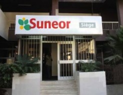 Dettes et pertes de 50 milliards : Suneor au bord de la faillite