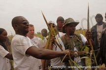 Khelcom une ambition de feu Serigne Saliou Mbacké en marche : la production de mil a doublé !