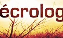 Nécrologie : L’ancien ministre Hamath Sall et Samir Abdourizk portés sur terre ce jeudi