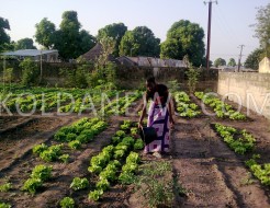 Journée internationale de la femme rurale : Cicodev plaide pour l’accès et le contrôle de la terre par les femmes rurales