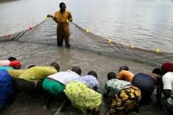 KOLDA : Une quinzaine de personnes de la zone de Médina Namo formées en aquaculture