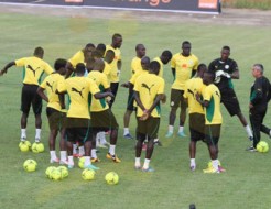 Coupe du Monde 2014 : « Une élimination des Lions ne doit pas se vivre comme la fin d’un cycle » (ancien international)