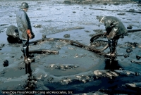 Le Sénégal est engagé à prendre en charge les questions liées aux produits chimiques et polluants