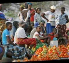 Lutte contre la pauvreté à Vélingara : 40 femmes formées en techniques de transformation de fruits et légumes