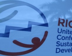 Développement durable et économie verte: Une voie de développement innovante