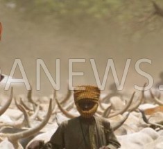 Journée national de l’élevage : La deuxième édition sous fond d’attente de promesses