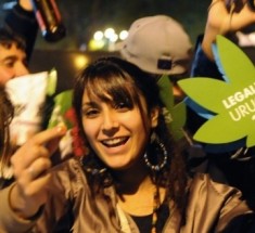 Cannabis : l’Uruguay ose la légalisation