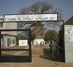 Thiès : Falsification de bulletins de notes, le verdict tombe