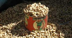 Commercialisation de l’arachide : les huiliers privés pas encore « résolument engagés » (DG SONACOS)