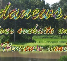 Meilleurs Vœux 2014