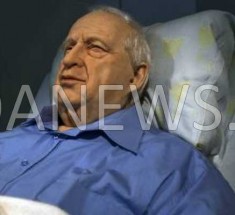Ariel Sharon est mort ce samedi 11 janvier 2014, après un long coma, depuis 2006