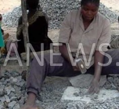 Sommet panafricain des jeunes leaders des Nations unies à Dakar : le chômage des jeunes dans l’agenda post-2015