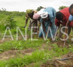Un air de « Y’en à Marre » à Faraba (Kolda) :  Les populations crient leur ras-le-bol !