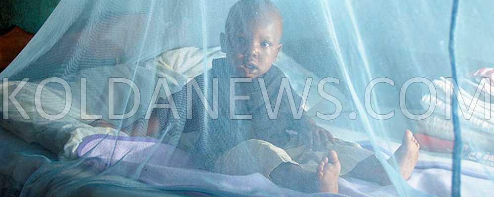 Vélingara : Le paludisme est lourdement combattu dans cette localité avec un taux de distribution de 99,94% de moustiquaires imprégnées