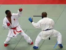 La fédération sénégalaise de karaté organise un stage technique