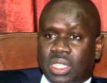 Oumar Youm de l’Apr annoncé à Ziguinchor : Les Apéristes sur place restent divisés