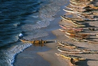 Détournement: Second retour de parquet pour l’ ex-directeur des pêches maritimes