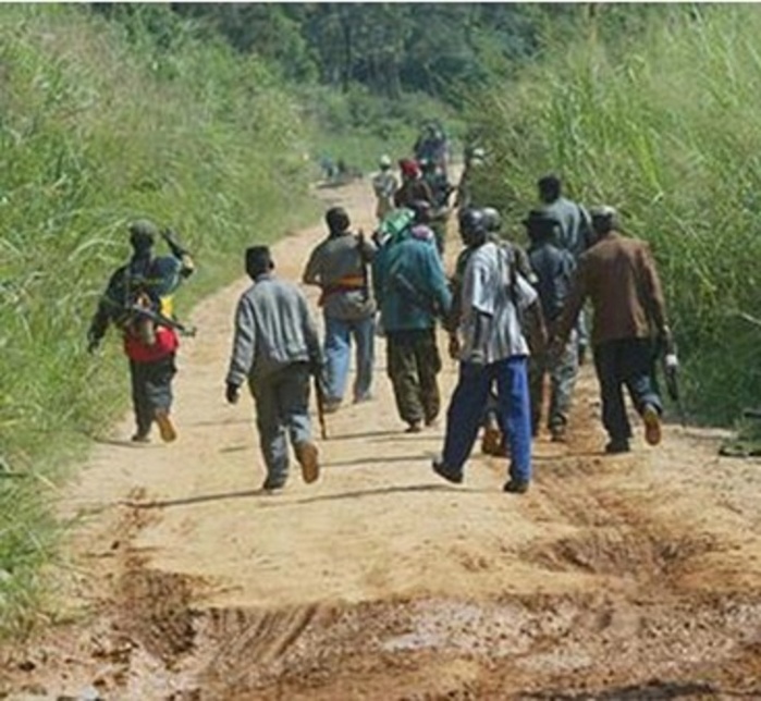 Ziguinchor : Bracage à Darou Khaïry au nord de Diouloulou vers la frontière avec la Gambie